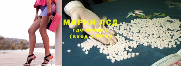 ПСИЛОЦИБИНОВЫЕ ГРИБЫ Беломорск