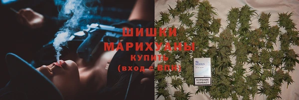 молекула духа Бородино