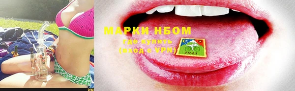 молекула духа Бородино