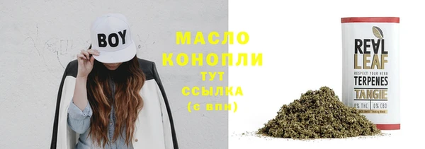 винт Богданович