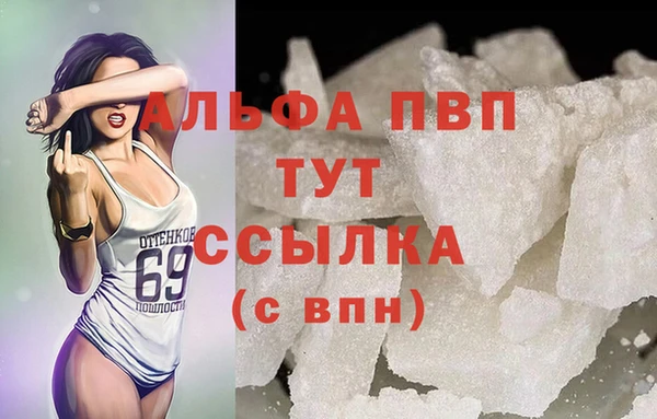 молекула духа Бородино