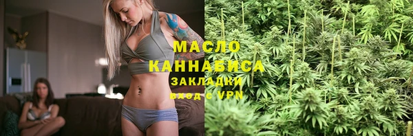 молекула духа Бородино