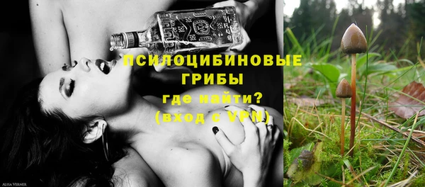амф Богородицк