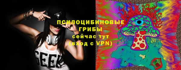 винт Богданович