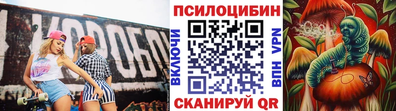 blacksprut как зайти  Дальнегорск  Псилоцибиновые грибы мицелий 